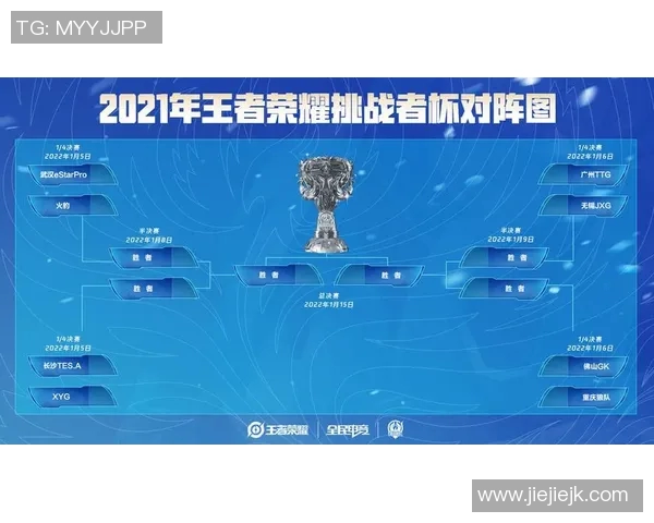 挑战者杯赛季TES战队速度表现分析与评价探讨