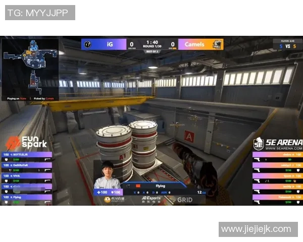 深入解析IG战队防守策略与战术布局的成功之道